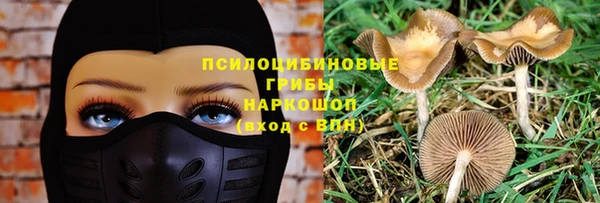 гидропоника Медногорск