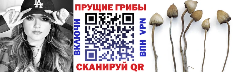 Галлюциногенные грибы мицелий  даркнет сайт  Николаевск-на-Амуре 