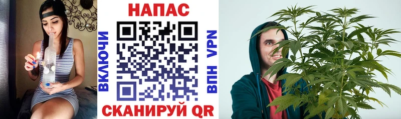 дарк нет официальный сайт  Николаевск-на-Амуре  Конопля конопля  сколько стоит 